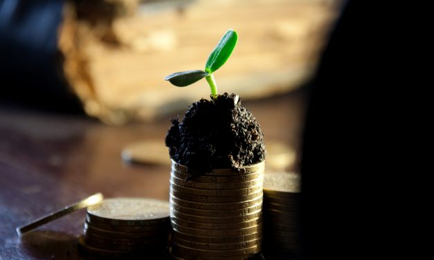 Hur du kan investera med en liten summa pengar